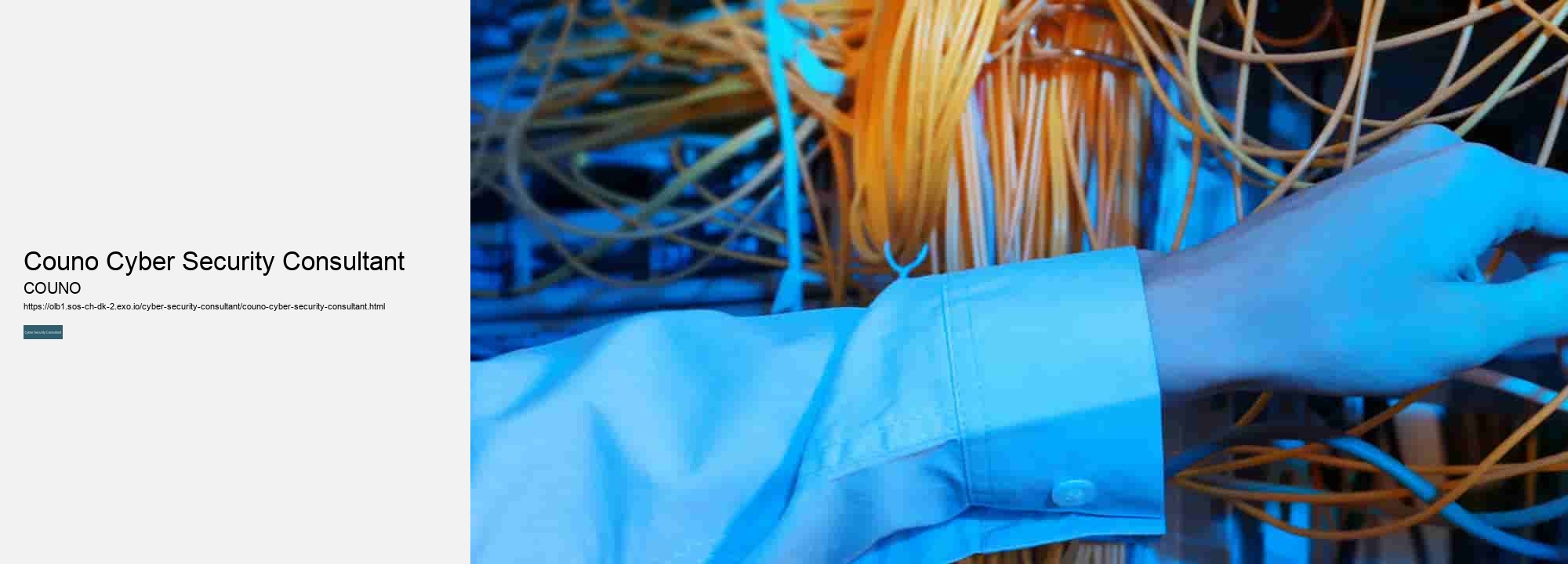 Couno Cyber Security Consultant